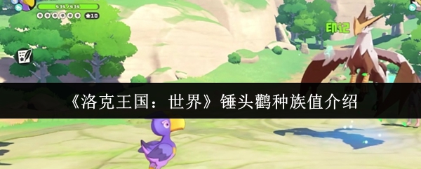 《洛克王国：世界》锤头鹳种族值介绍