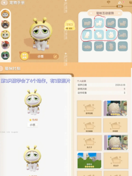 心动小镇猫猫图鉴怎么快速拿到狮身猫面像