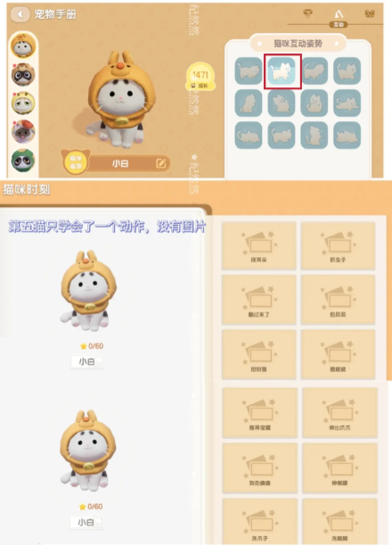 心动小镇猫猫图鉴怎么快速拿到狮身猫面像