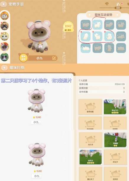 心动小镇猫猫图鉴怎么快速拿到狮身猫面像