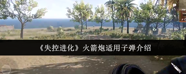 《失控进化》火箭炮适用子弹介绍